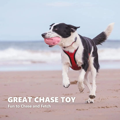 Squeaky Chewable Dog Toy