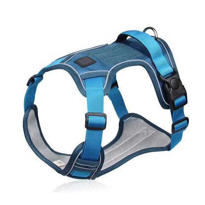 Reflective Adjustable Training Harness