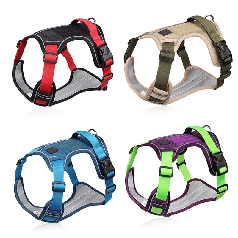 Reflective Adjustable Training Harness