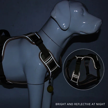 Reflective Adjustable Training Harness