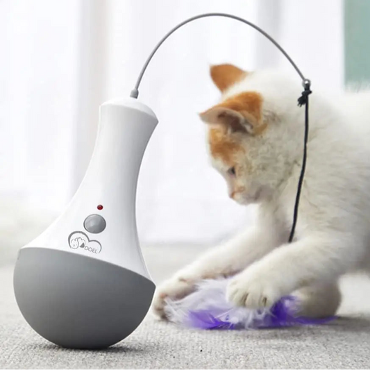 Funny Feather Kitten Teaser Toy
