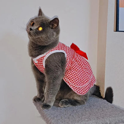 Cat Princess Dress For Summer