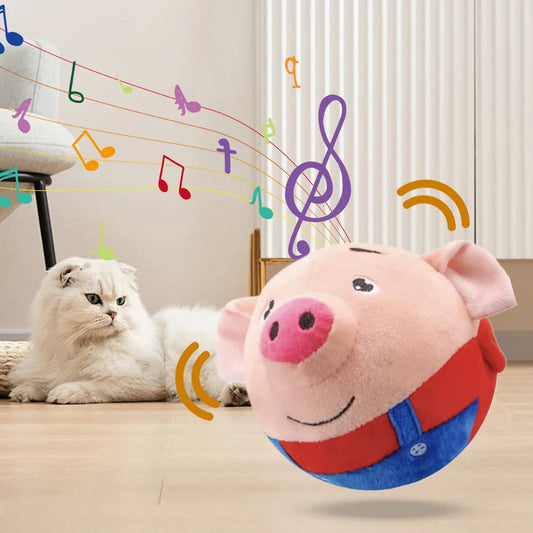 USB Electronic Pet Music Toy