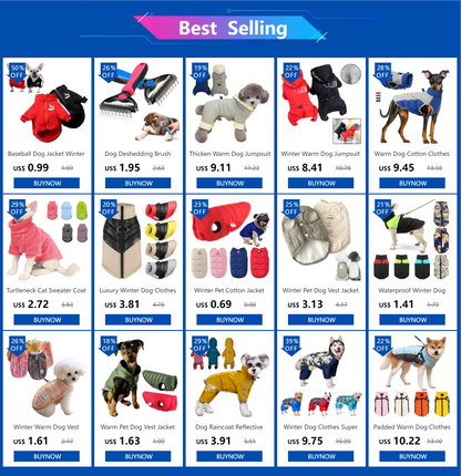 Dog Summer Casual Shirt