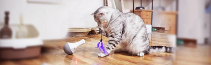 Funny Feather Kitten Teaser Toy