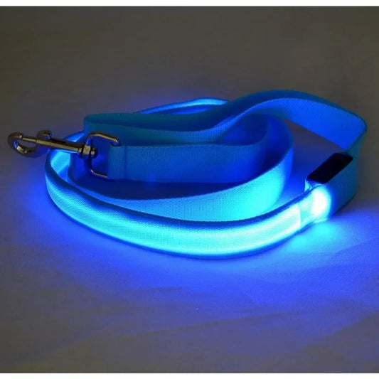 Pet LED Collar
