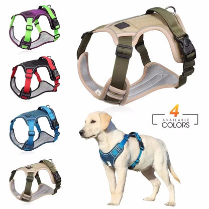 Reflective Adjustable Training Harness