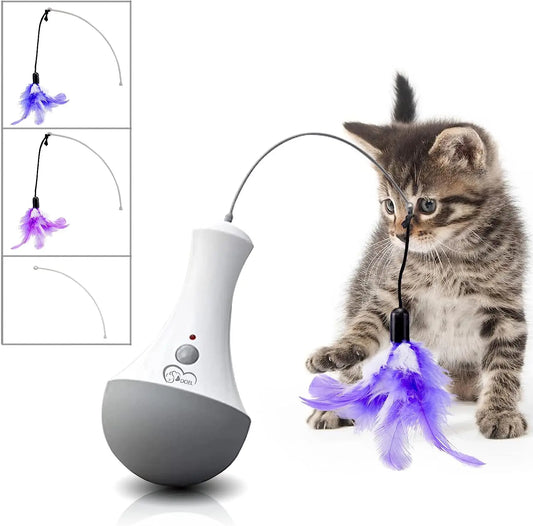 Funny Feather Kitten Teaser Toy