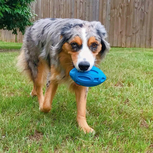Squeaky Chewable Dog Toy