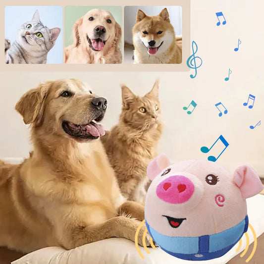 USB Electronic Pet Music Toy