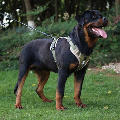 Reflective Adjustable Training Harness