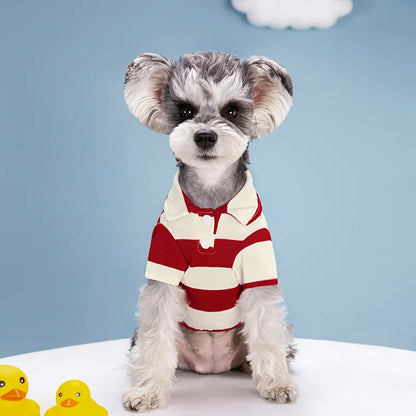 Dog Summer Casual Shirt