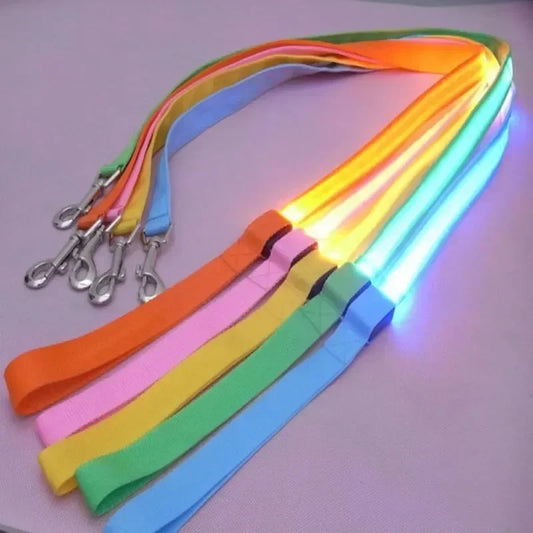 Pet LED Collar